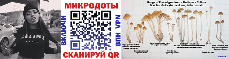 KRAKEN вход  Нерчинск  Галлюциногенные грибы GOLDEN TEACHER 